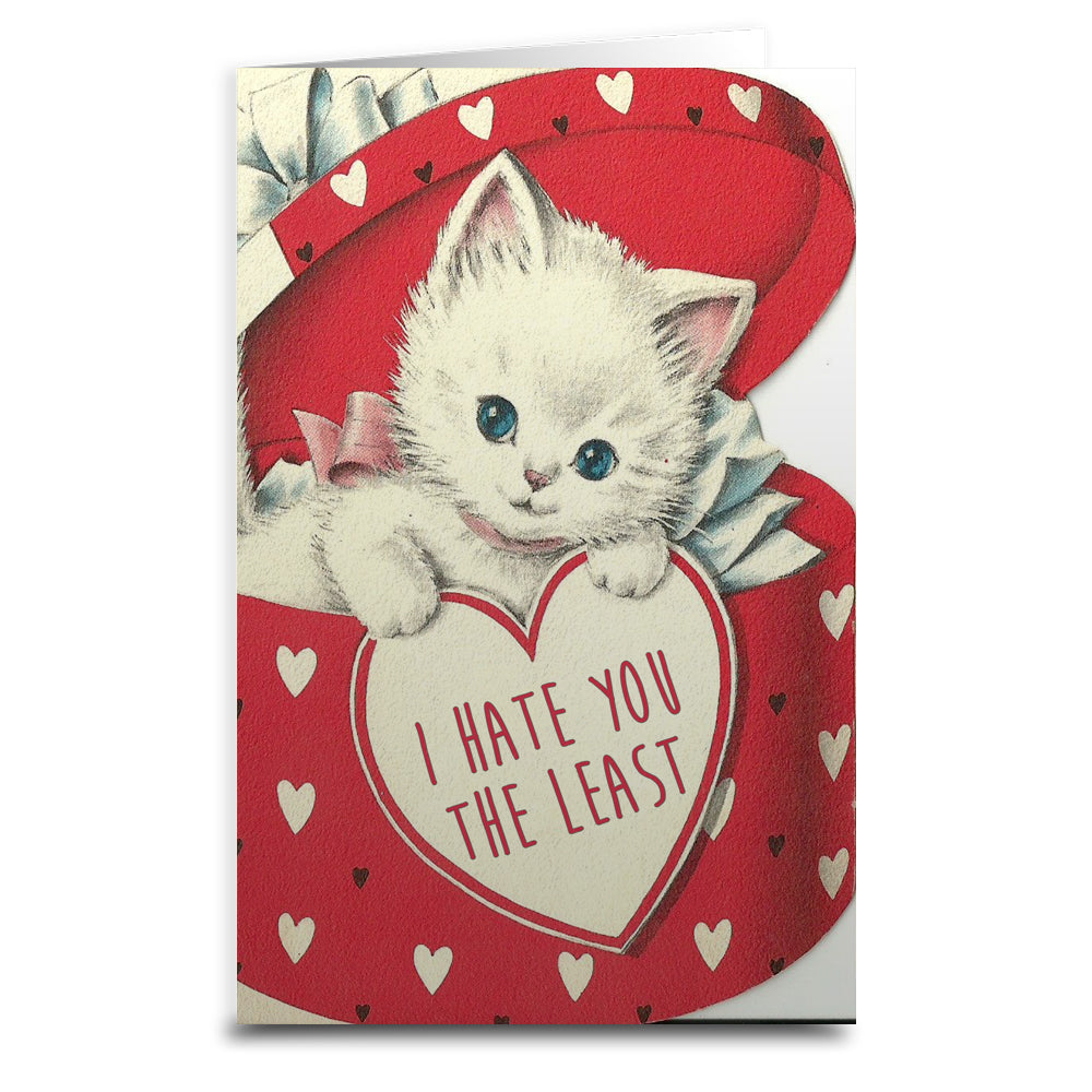 I Hate You the Least Greeting Card - Shady Front