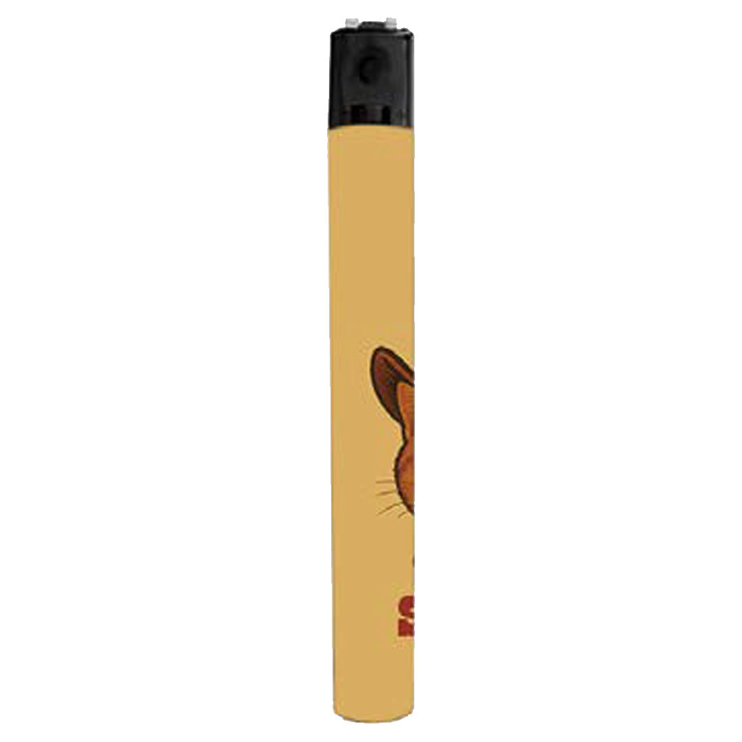 This is My Second Rodeo Lighter - The Original Underground