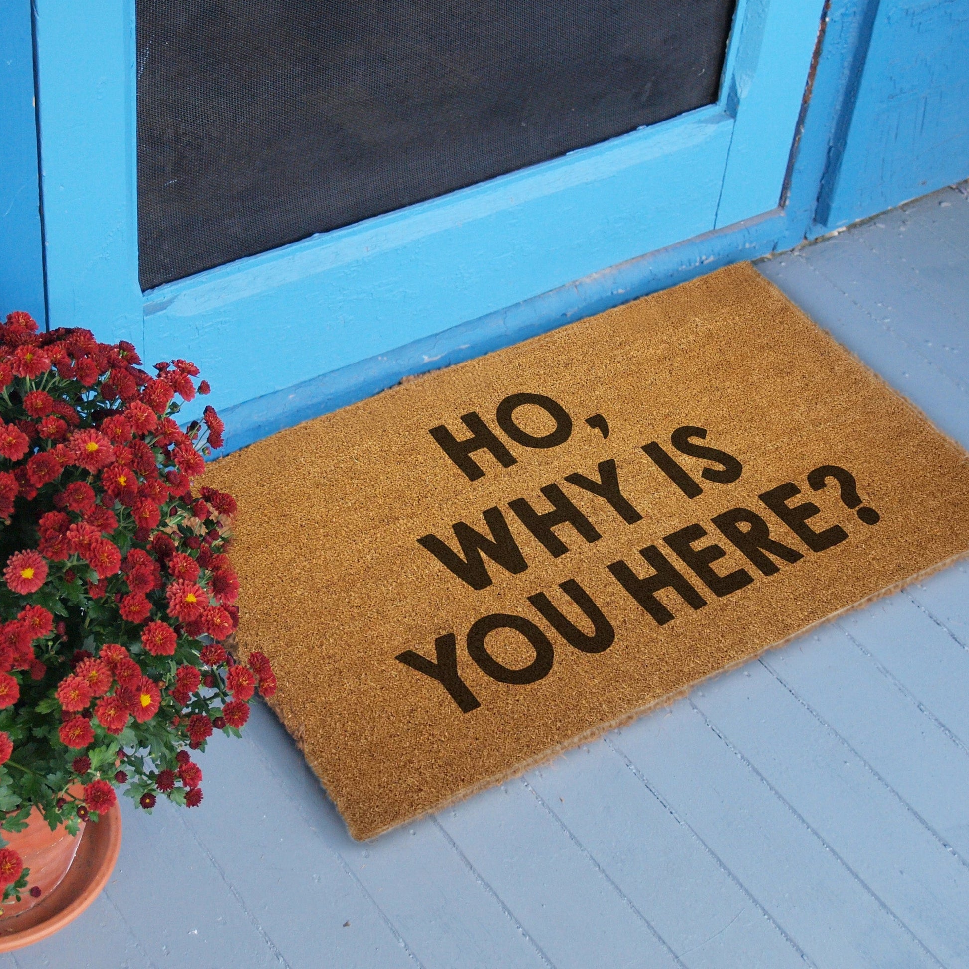 Ho, Why is You Here? Door Mat - Shady Front