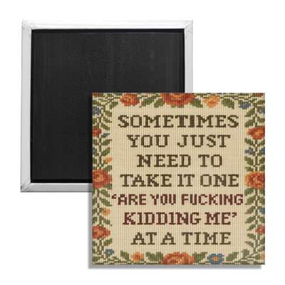 One "Are You F - king Kidding Me" at a Time Fridge Magnet - The Original Underground